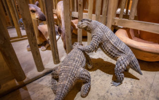 ark-encounter-exhibit-animals