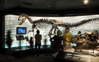 creation-museum-exhibit-allosaurus