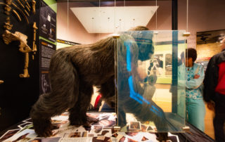 creation-museum-exhibit-lucy