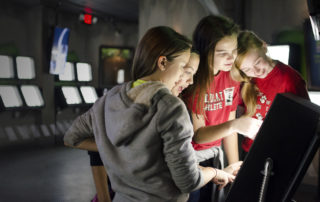 creation-museum-insectorium